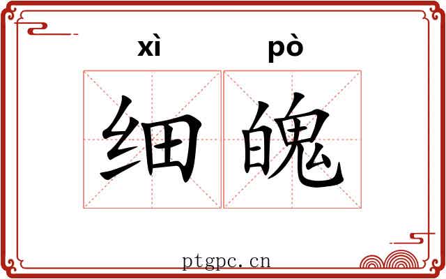 细魄