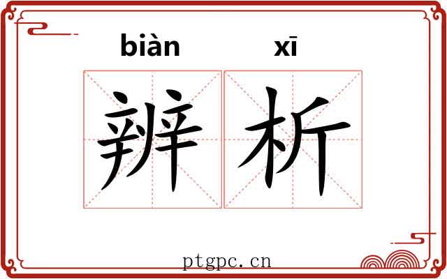 辨析 辨析