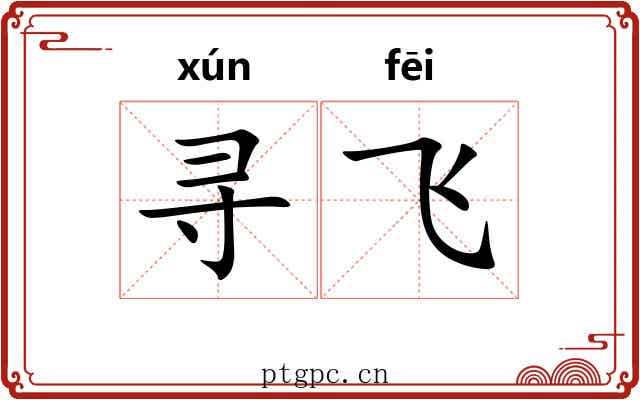 寻飞