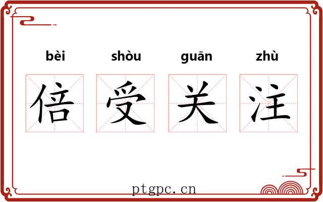 倍受关注 倍受关注