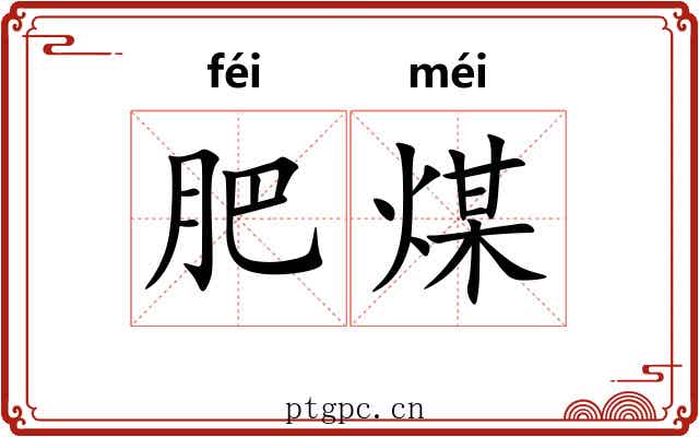肥煤 肥煤