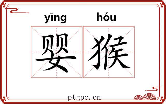 婴猴
