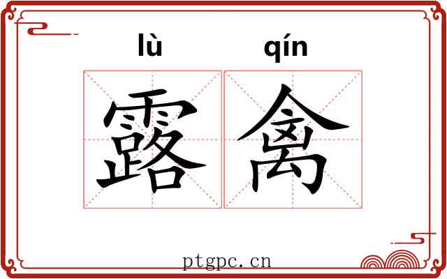 露禽