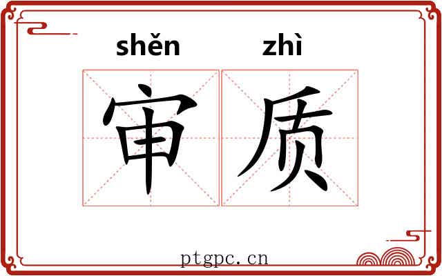 审质