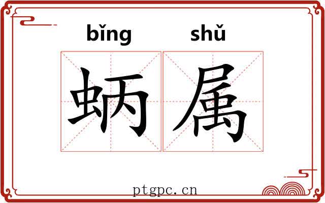 蛃属