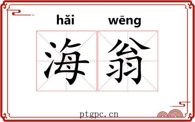 海翁