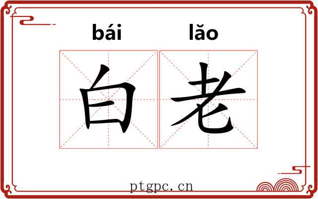 白老 白老