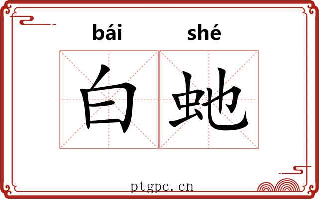 白虵 白虵