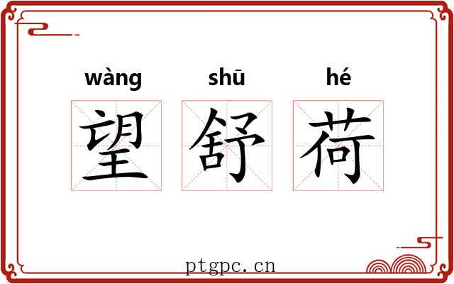 望舒荷
