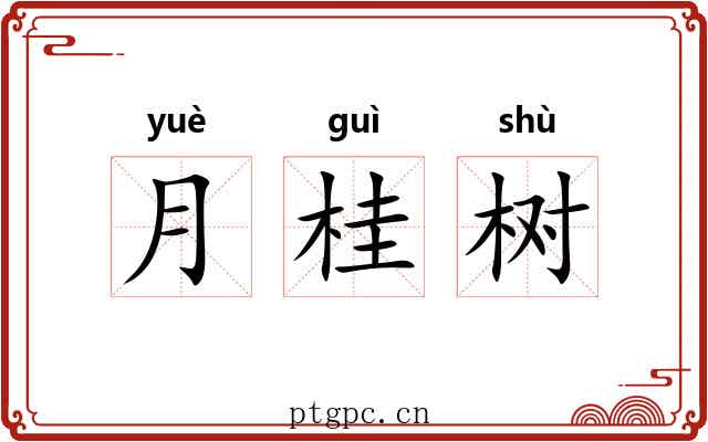 月桂树 月桂树