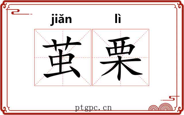 茧栗 茧栗