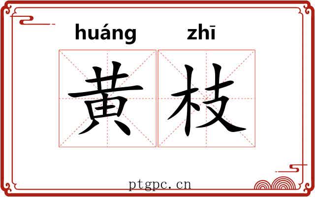 黄枝