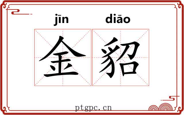 金貂 金貂