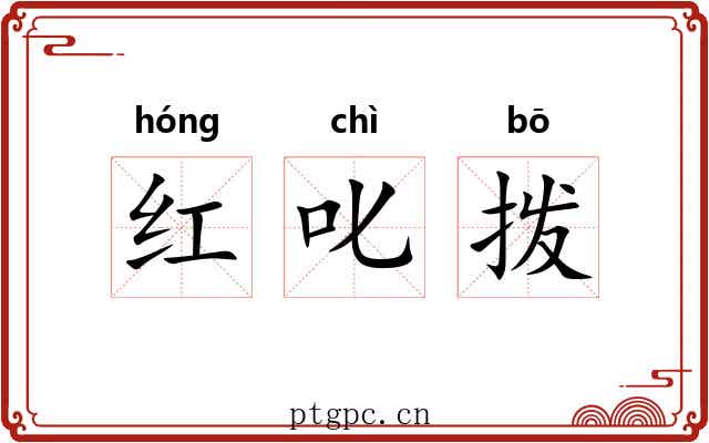 红叱拨 红叱拨