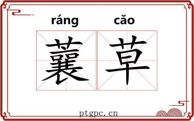 蘘草 蘘草
