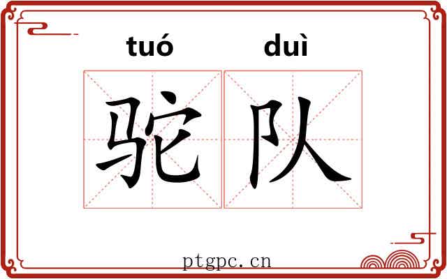 驼队