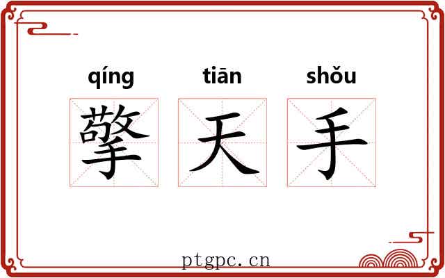 擎天手 擎天手