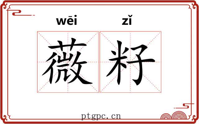薇籽