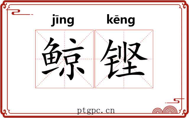 鲸铿