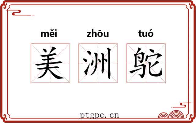 美洲鸵
