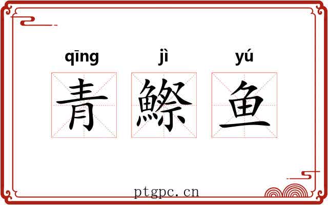 青鰶鱼 青鰶鱼