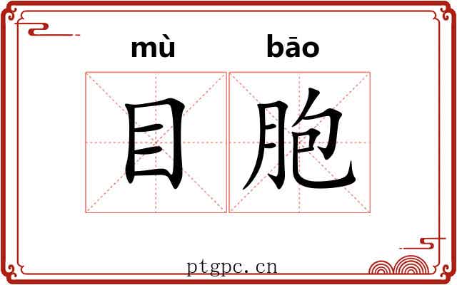 目胞 目胞