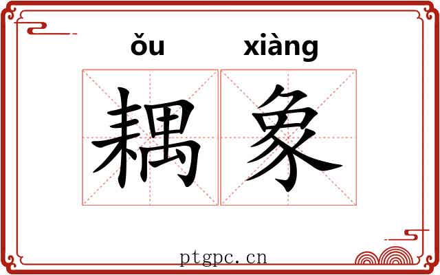 耦象