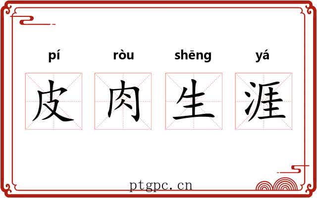 皮肉生涯 皮肉生涯