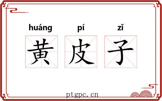 黄皮子 黄皮子