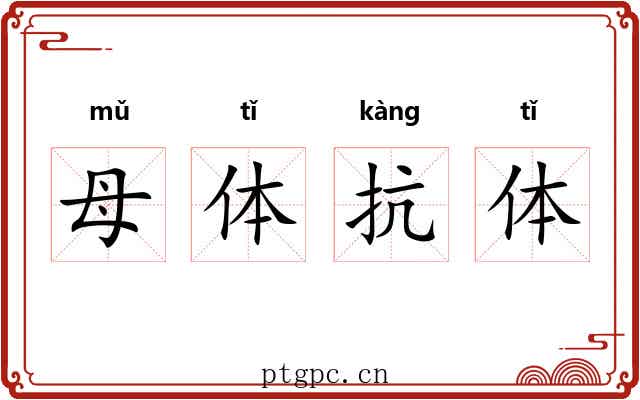 母体抗体 母体抗体