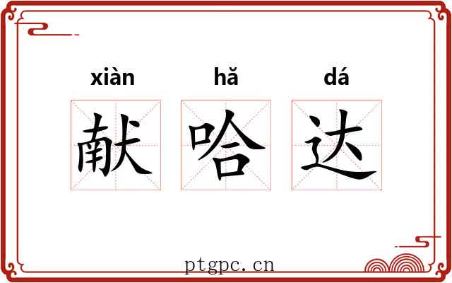 献哈达 献哈达
