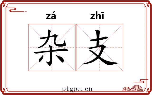 杂支