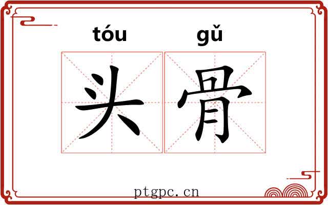 头骨