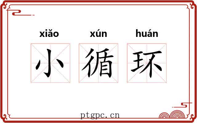 小循环 小循环