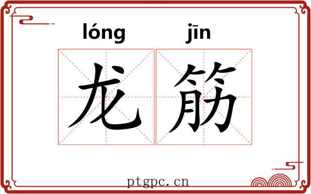 龙筋