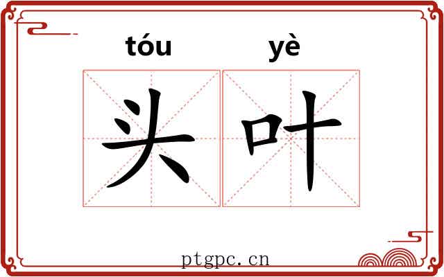 头叶 头叶