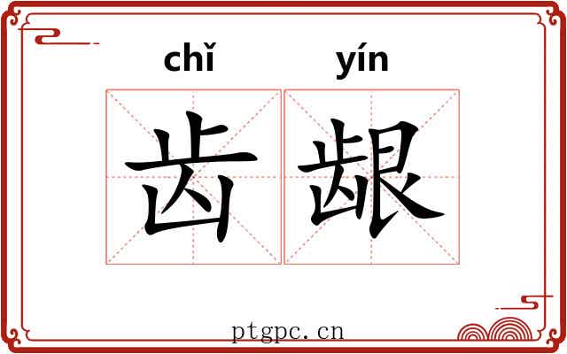齿龈 齿龈