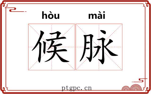 候脉 候脉