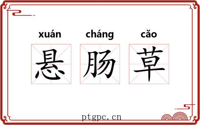 悬肠草 悬肠草