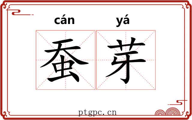 蚕芽