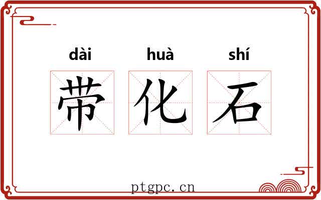 带化石 带化石