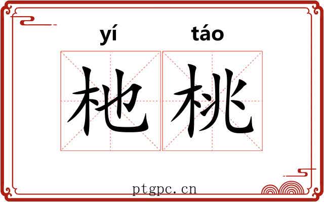 杝桃 杝桃