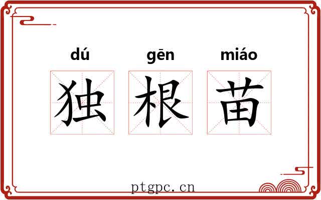 独根苗 独根苗