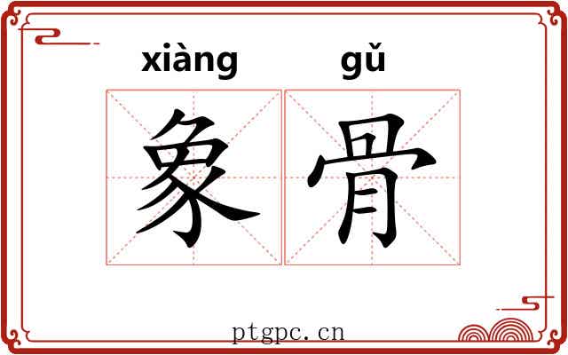 象骨 象骨