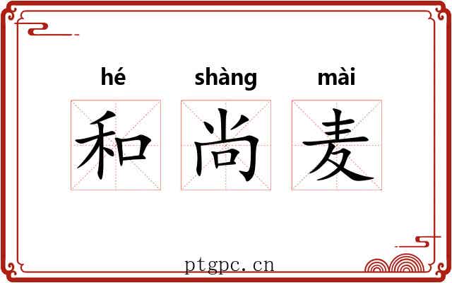和尚麦 和尚麦