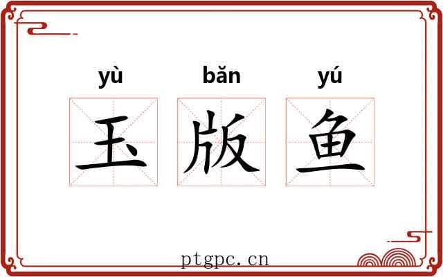 玉版鱼 玉版鱼