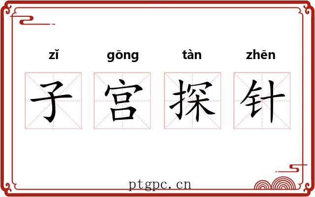子宫探针 子宫探针