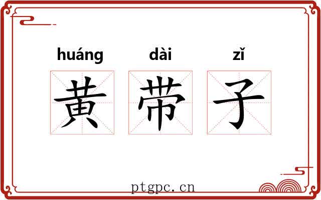 黄带子 黄带子