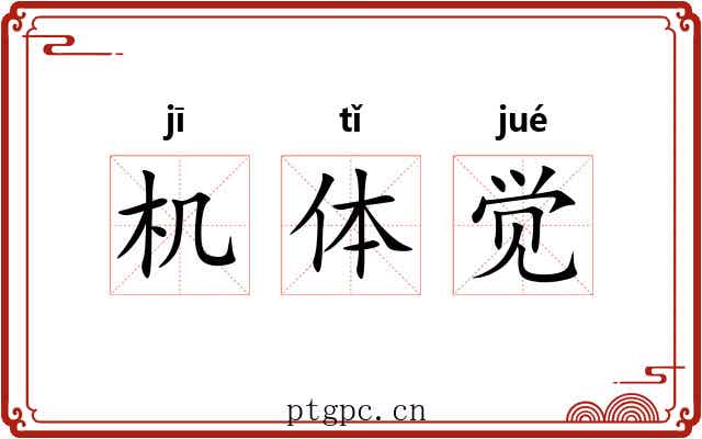 机体觉 机体觉
