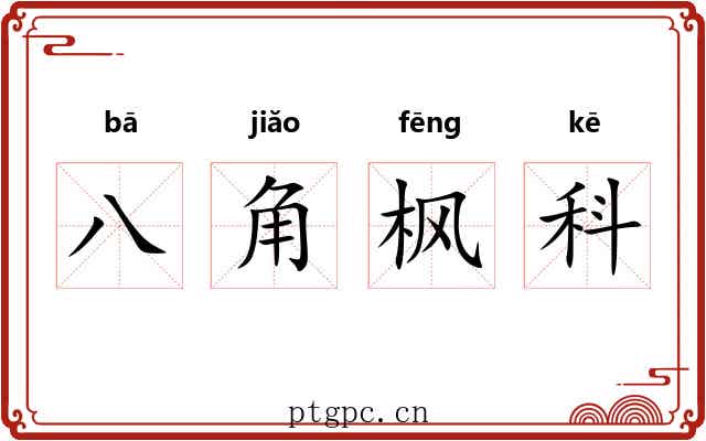 八角枫科 八角枫科